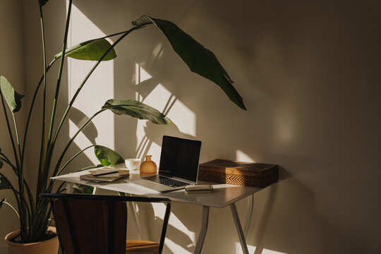 Home workspace with stationery, laptop and tropical plant in a bright, airy room with aesthetic wam sunlight shadows