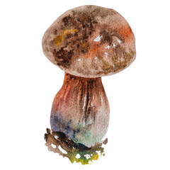 Watercolor illustration of different mushrooms, brown, yellow, orange. Hand-drawn watercolor illustration of mushrooms. For textile design, postcards, menus, for an autumn holiday.