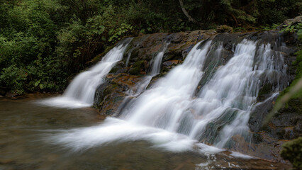 Obraz premium A hidden waterfall flows gracefully over rocks, surrounded by dense forest greenery. The tranquil setting is perfect for those seeking a peaceful connection with nature.