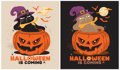 Black Cat in Halloween Nights