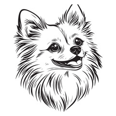 Pomeranian Face, Pomeranian dog breed Cute cartoon vector clipart Design, Silhouettes Dog Face, black and white Pomeranian vector