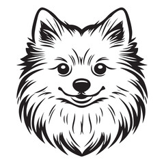 Pomeranian Face, Pomeranian dog breed Cute cartoon vector clipart Design, Silhouettes Dog Face, black and white Pomeranian vector