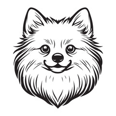 Pomeranian Face, Pomeranian dog breed Cute cartoon vector clipart Design, Silhouettes Dog Face, black and white Pomeranian vector