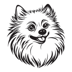 Pomeranian Face, Pomeranian dog breed Cute cartoon vector clipart Design, Silhouettes Dog Face, black and white Pomeranian vector