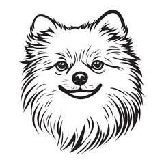 Fototapeta premium Pomeranian Face, Pomeranian dog breed Cute cartoon vector clipart Design, Silhouettes Dog Face, black and white Pomeranian vector