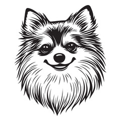 Pomeranian Face, Pomeranian dog breed Cute cartoon vector clipart Design, Silhouettes Dog Face, black and white Pomeranian vector