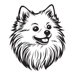 Pomeranian Face, Pomeranian dog breed Cute cartoon vector clipart Design, Silhouettes Dog Face, black and white Pomeranian vector