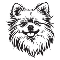 Pomeranian Face, Pomeranian dog breed Cute cartoon vector clipart Design, Silhouettes Dog Face, black and white Pomeranian vector