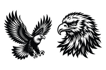 Eagle silhouette vector illustrations