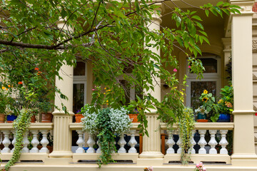 balcony with a lot of plants and flowers