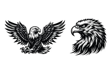 Eagle silhouette vector illustrations