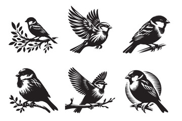 Sparrow 1.eps