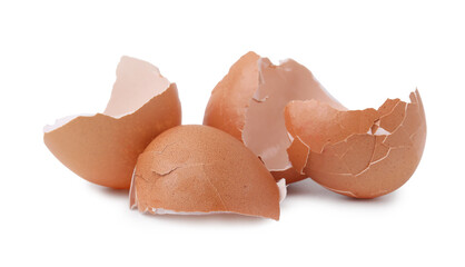 Pieces of broken eggshells isolated on white