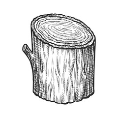 Wood sketch or vector tree log. Hand drawn stump or hardwood drawing. Wooden piece or stem lump. Natural material chunk for fire. Realistic firewood or timber stick. Stub or bar. Lumber and nature