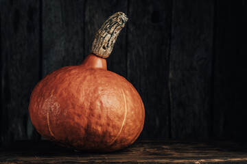 Pumpkin on wooden background. Halloween concept. Toned.