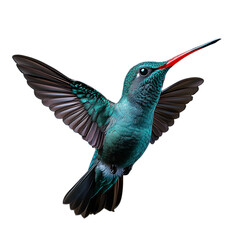 Obraz premium Vibrant green hummingbird in flight with wings spread against a transparent background