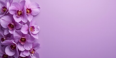 Purple orchids on a light purple background with copy space   © Helen Marlen