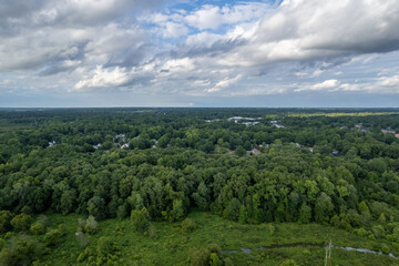 A lush green forest with a cloudy sky in the background. Richmond, USA