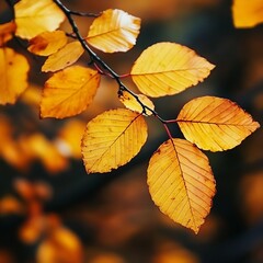 Obraz premium autumn leaves webpage banner image