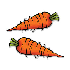 Fresh  carrot vegetable illustration design