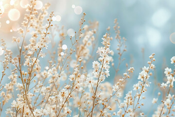 Fototapeta premium Gentle White Flowers with Soft Bokeh Light Background