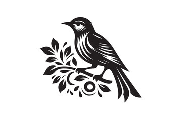 Birds vector and silhouette