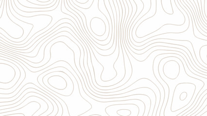 Topography background. Vector banner. Topography background. Vector geographic contour map. Topographic map.