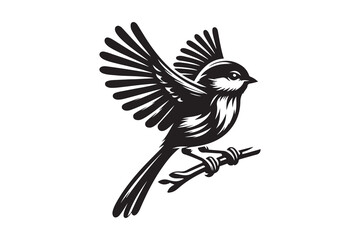 Birds vector and silhouette