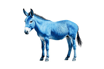 Fototapeta premium blue donkey , png object isolated on white background, mockup, design, template, layout, sticker