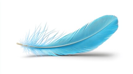 Obraz premium Feather background, blue feather, white bird feather, feather texture, blue feather isolated on white