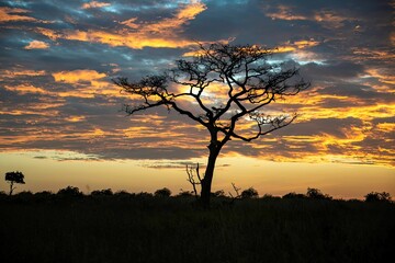 sunrise above the landscape of Murchison falls National park in Uganda