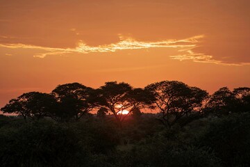 sunrise above the landscape of Murchison falls National park in Uganda