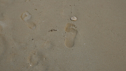 A close-up view of footprints on the sandy pescoluse beach in salento, puglia, italy, evoking travel and a peaceful ambiance in this popular coastal destination.