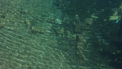 Clear, shallow waters with visible underwater rocks and marine life at pescoluse beach, salento, puglia, italy.