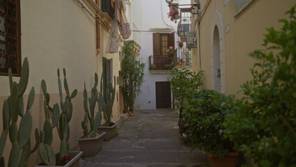 A charming narrow alley in gallipoli, puglia featuring lush potted plants and traditional mediterranean architecture, creating a serene and picturesque scene.