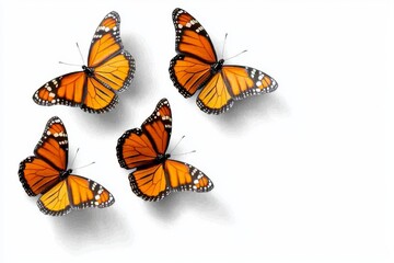 Fototapeta premium Various butterflies isolated on transparent or white backgrounds