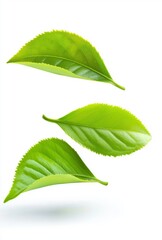 Drink made from dissolved floating tea leaves.