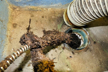 Roots being removed from a toilet drainage pipe using an electrically operated sewer snake or pipe...