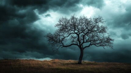 Obraz premium A stark, black tree stands out against a stormy sky, with dark clouds hanging overhead.
