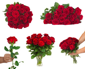 bouquet of blossoming dark  red roses in vase