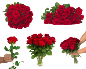 bouquet of blossoming dark  red roses in vase