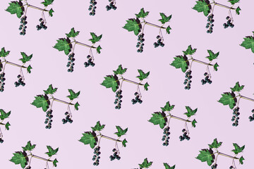 Wild grapes, autumn fruit pattern on pastel purple background.