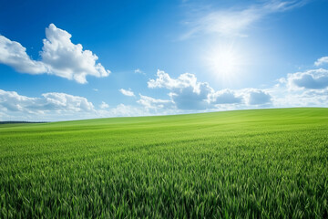 Endless Rolling Fields of Lush Green Grass Under an Expansive Blue Sky, Inviting a Sense of Freedom and Serenity