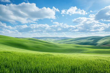 Fototapeta premium Endless Rolling Fields of Lush Green Grass Under an Expansive Blue Sky, Inviting a Sense of Freedom and Serenity