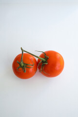 two round tomatoes on a vine on a white background