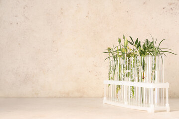Different test tubes with herbs and plants in holder on grunge beige background