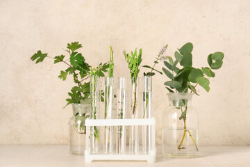 Laboratory glassware and test tubes with herbs on grunge beige background