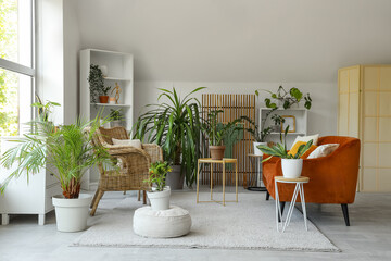 Interior of light living room with green houseplants, sofa and wicker armchairs