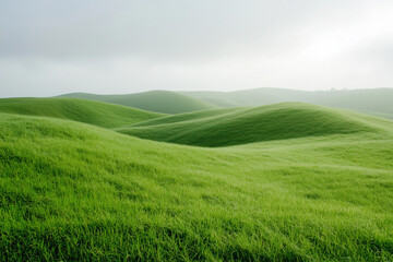 Fototapeta premium Endless Rolling Hills of Lush Green Grass Stretching into the Distance, Inviting a Sense of Freedom and Serenity
