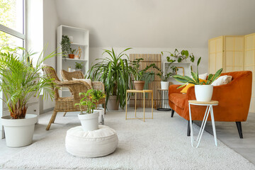 Interior of light living room with green houseplants, sofa and wicker armchairs